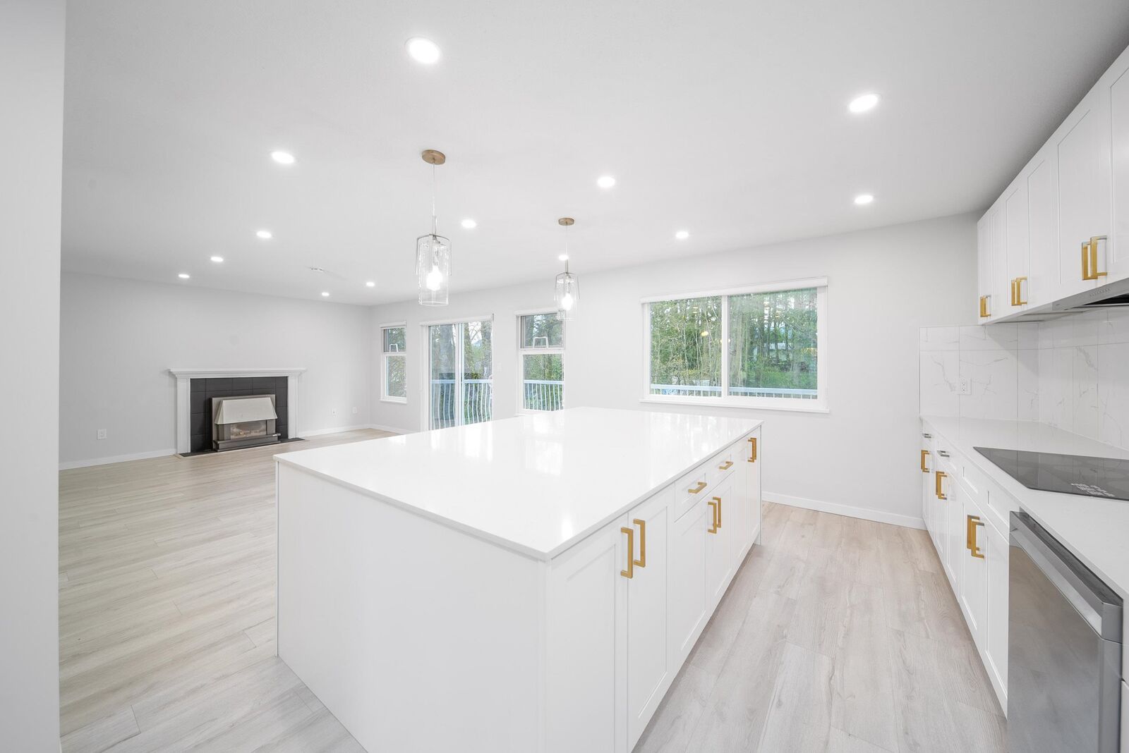 Property Photo: 12344 234 Street BC V2X 0N7