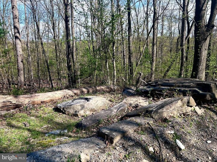 Property Photo:  0 Maryland Avenue Lot #46  PA 17304 