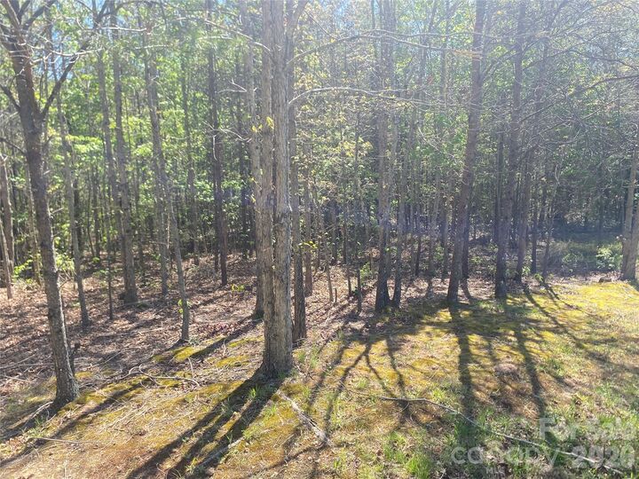 Property Photo:  4209 Bennett Road  NC 28655 