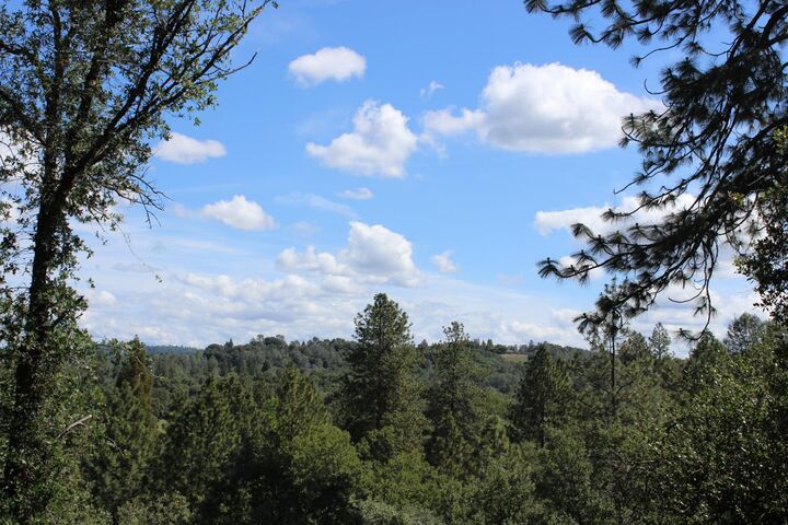 Property Photo:  11448 Madrone Court  CA 95602 