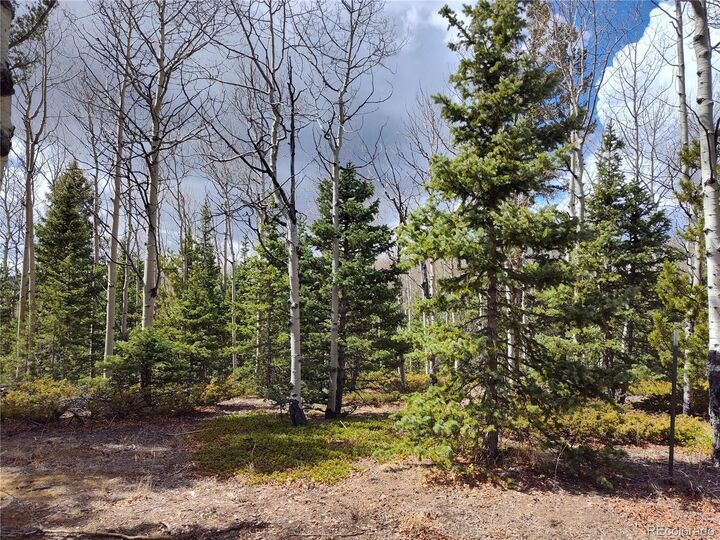 Property Photo: 12201 S State Highway 67 CO 80813