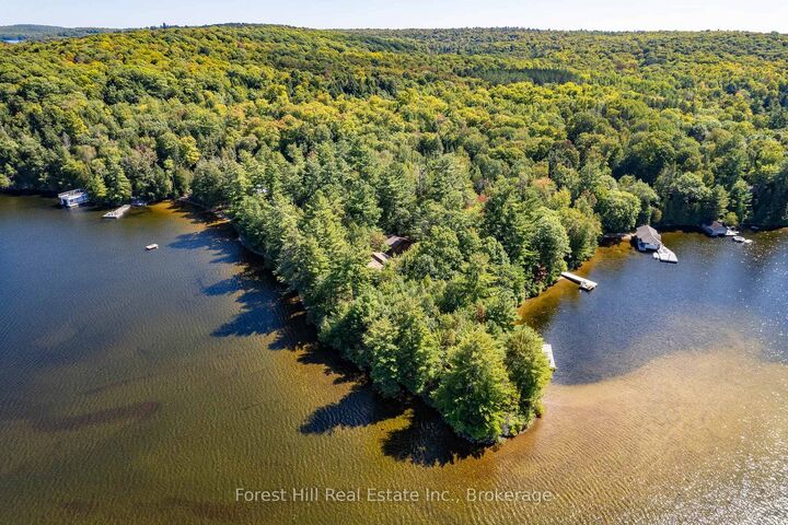 2991 Muskoka Rd 117 Road 2 — photo 1