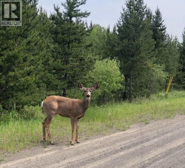 Property Photo:  5916 Little Fort 24 Highway Lot 2  BC V0K 1X1 