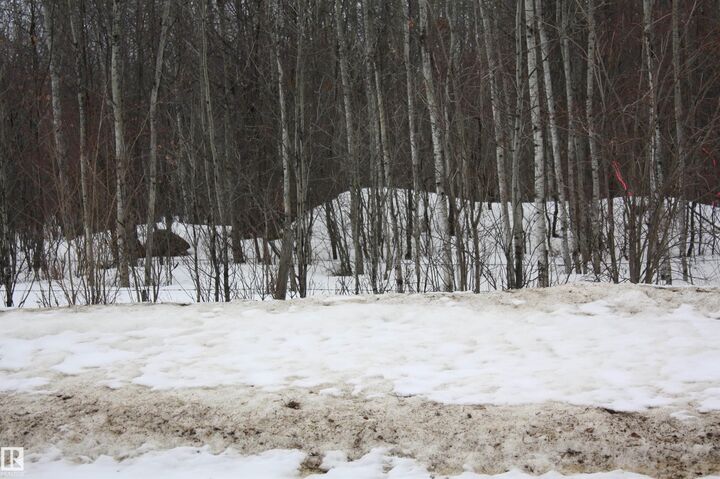 Property Photo:  Twp  655 RR 185  AB T0A 0M0 