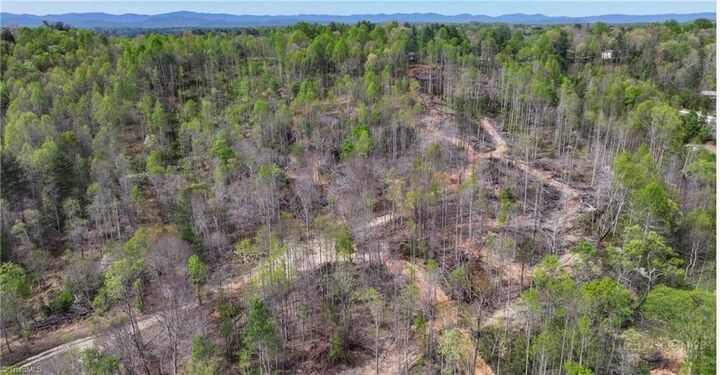 Property Photo:  161 Queen Drive  NC 28659 