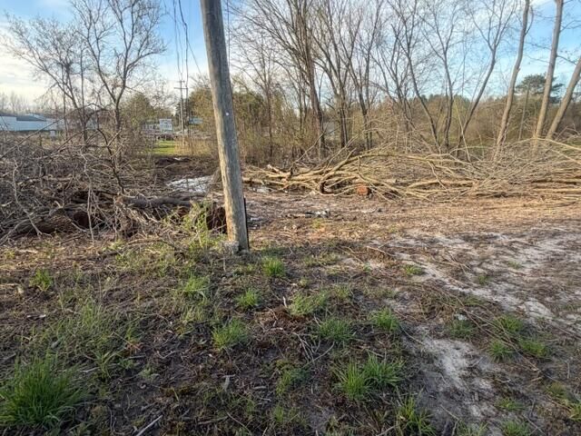 Property Photo: 0 S Mason Drive MI 49327