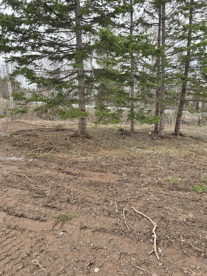 Property Photo:  25-2 Middle River Road  NS B0K 2A0 