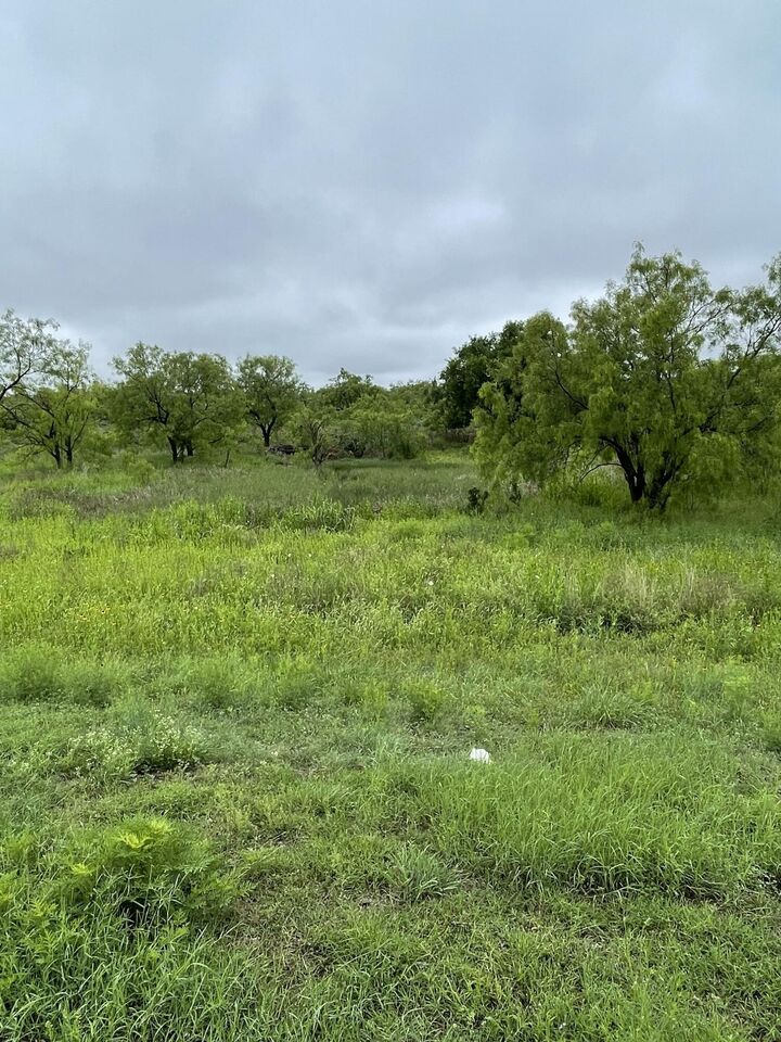 Property Photo:  525 Lake View Heroes Drive  TX 76903 
