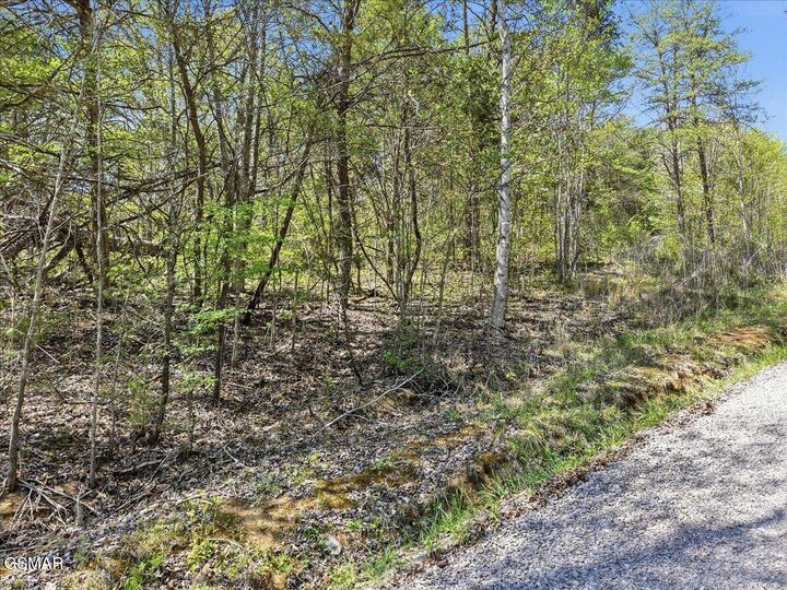 Property Photo:  0 Dark Hollow Road  TN 37722 