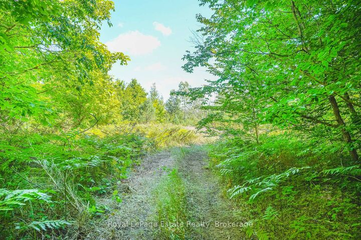 Lot 4 Sixth Street — photo 1