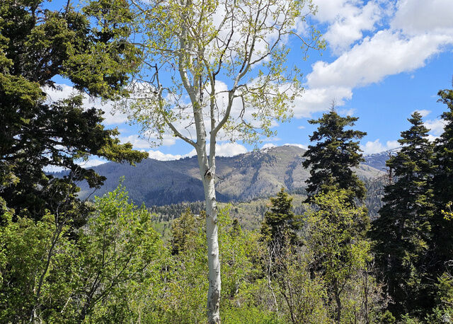 Property Photo: 27 Pine Ridge Rd 27 UT 84647