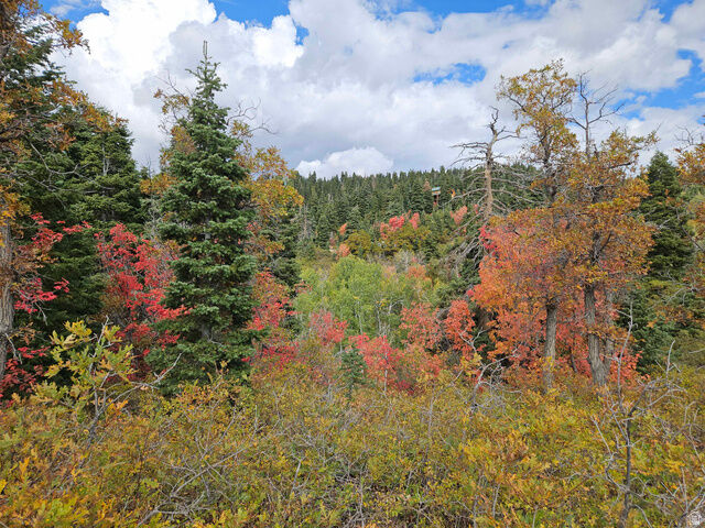 Property Photo:  29 E Deer Valley Dr S K29  UT 84629 