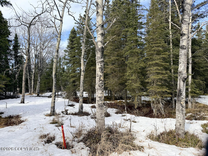 Property Photo: 23855 Herrin Circle AK 99610