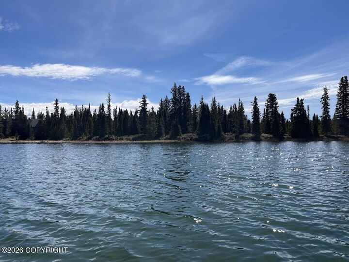 Property Photo: 23855 Herrin Circle AK 99610