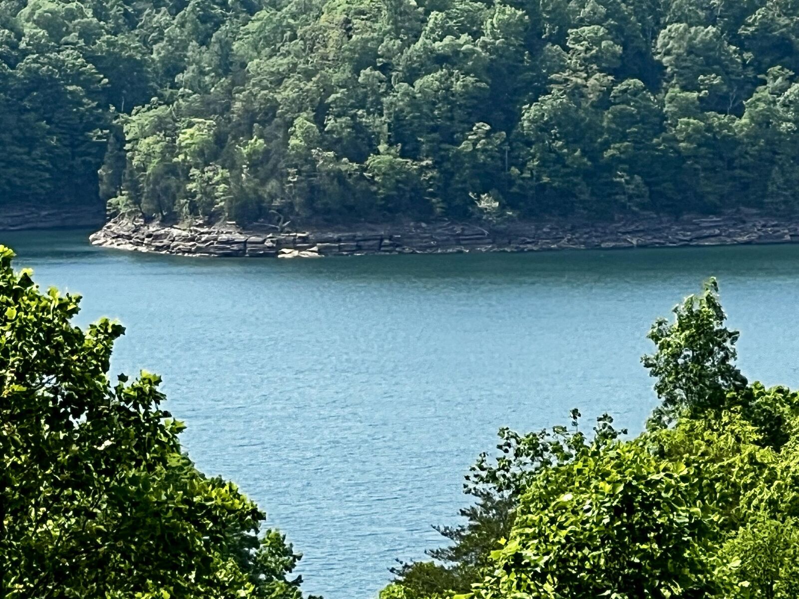 Property Photo:  Track 5 And 6 Arthur Road  KY 42633 