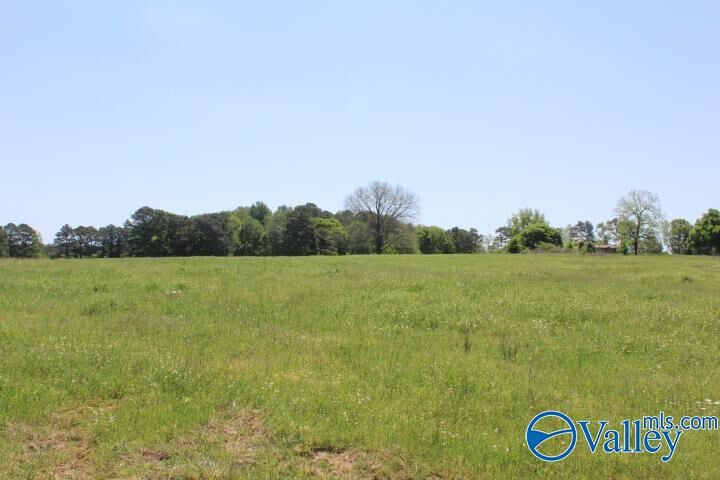 Property Photo:  28.77 Acres Cranford Road  AL 35016 
