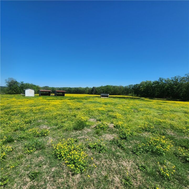 Property Photo:  933 Walnut Road  AR 72843 
