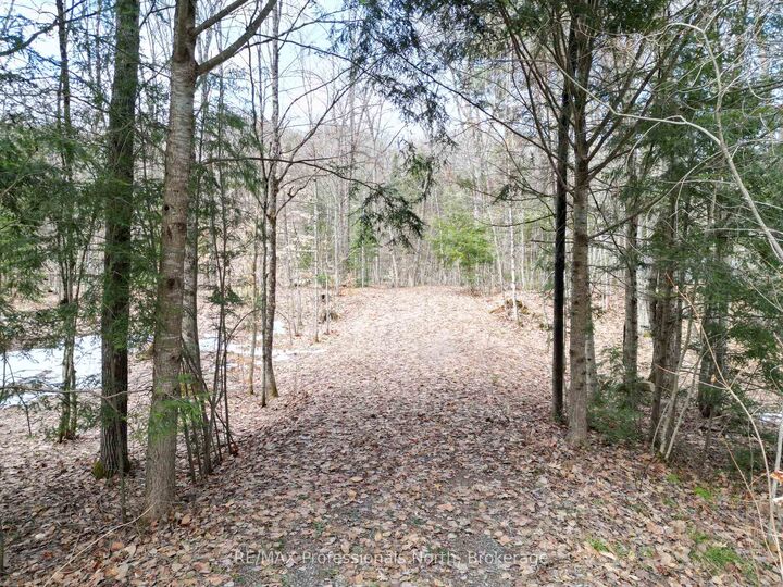 1231 Big Hawk Lake Road — photo 1