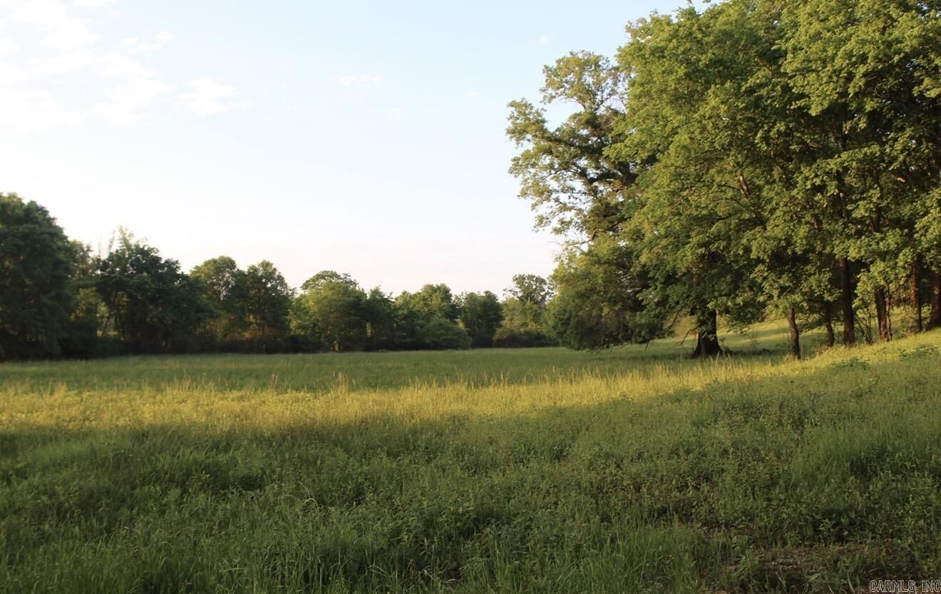 Property Photo:  299 Harmony Lane  AR 71921 