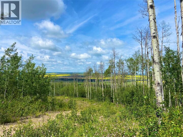 Property Photo:  13062 Prince Other  BC V1G 4E7 
