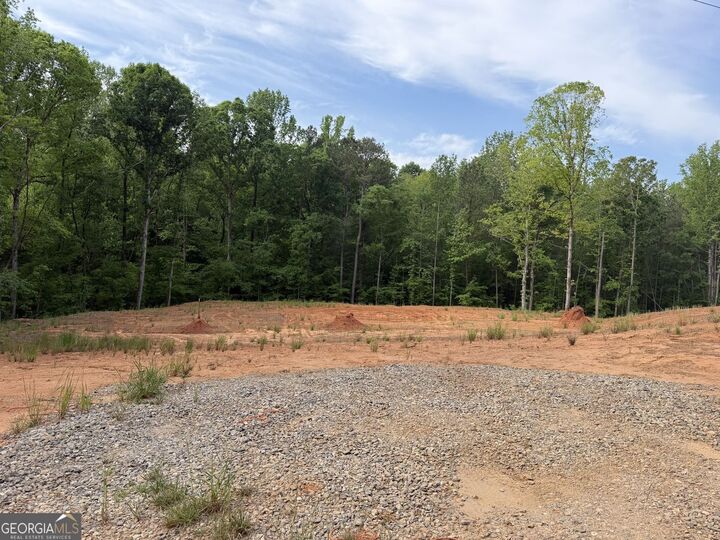 Property Photo:  1476 English Road  GA 31029 