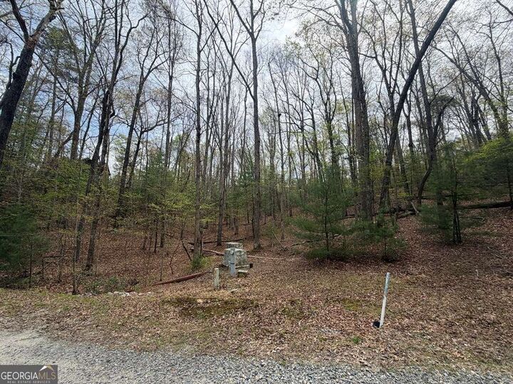 Property Photo:  #16 Christian Crossing  GA 30560 