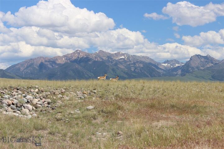 Property Photo:  Lot 70 Sphinx Mountain Sub.  MT 59720 