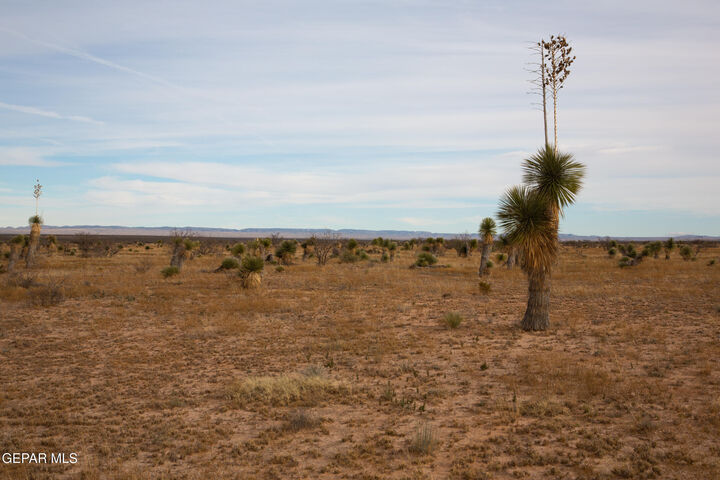Property Photo: Pn 76128 Pn 76128 Tbd 37 Sec 1 Psl Suns TX 79851