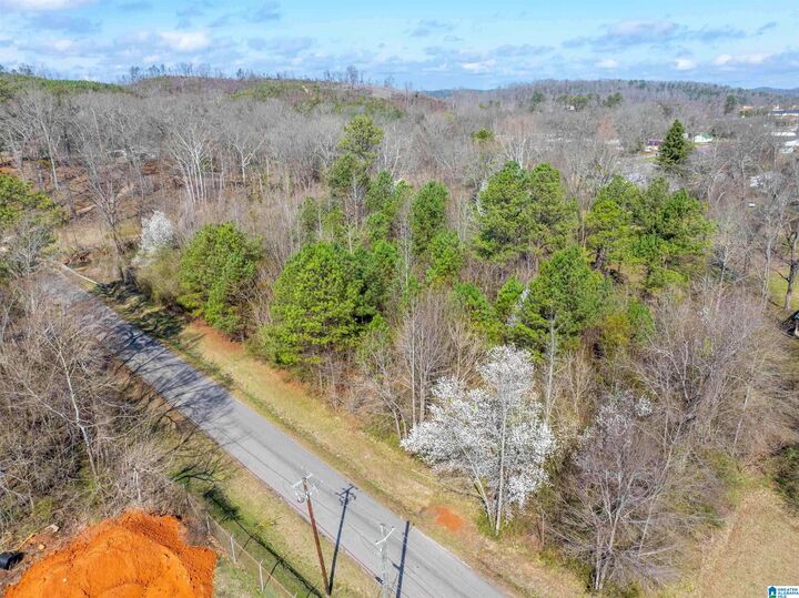 Property Photo: Lot 4 Francis Street 4 AL 36265