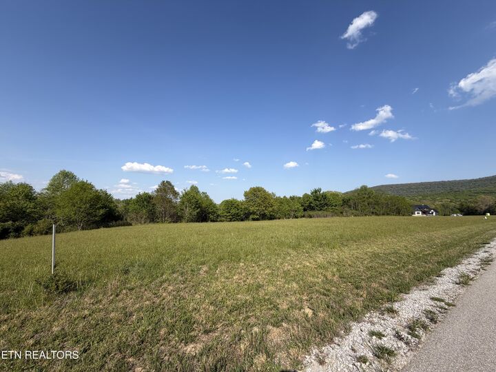 Property Photo:  Lot  4 & 5 Houston Drive  TN 38555 