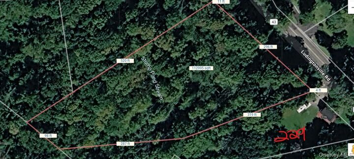 Property Photo:  Lot  42 Ludingtonville Road  NY 10512 