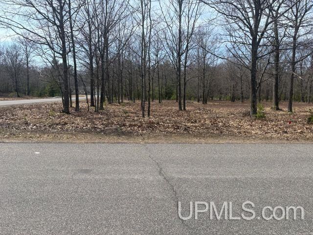Property Photo:  62 Oak Drive Avenue  MI 49837 