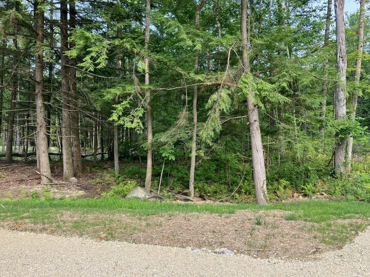 Property Photo:  Lot 5 Fern Lake Road  VT 05733 