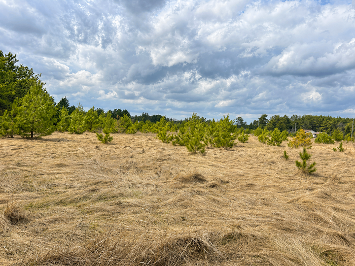 Property Photo:  Tbd 8th Street W  MN 56470 