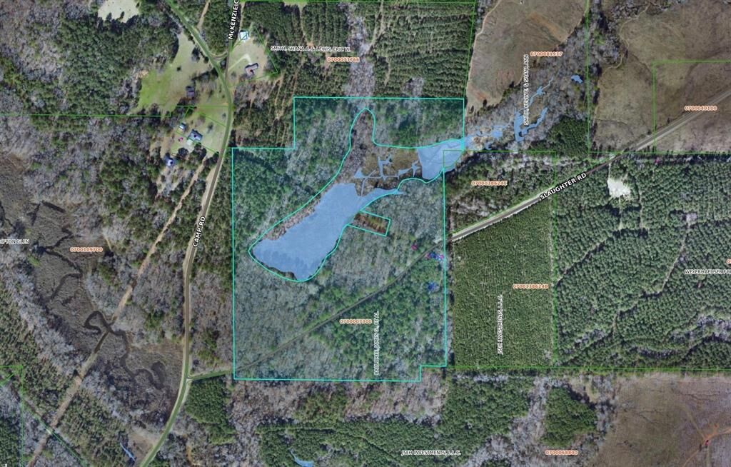 Property Photo:  242 Slaughter Road  LA 71040 