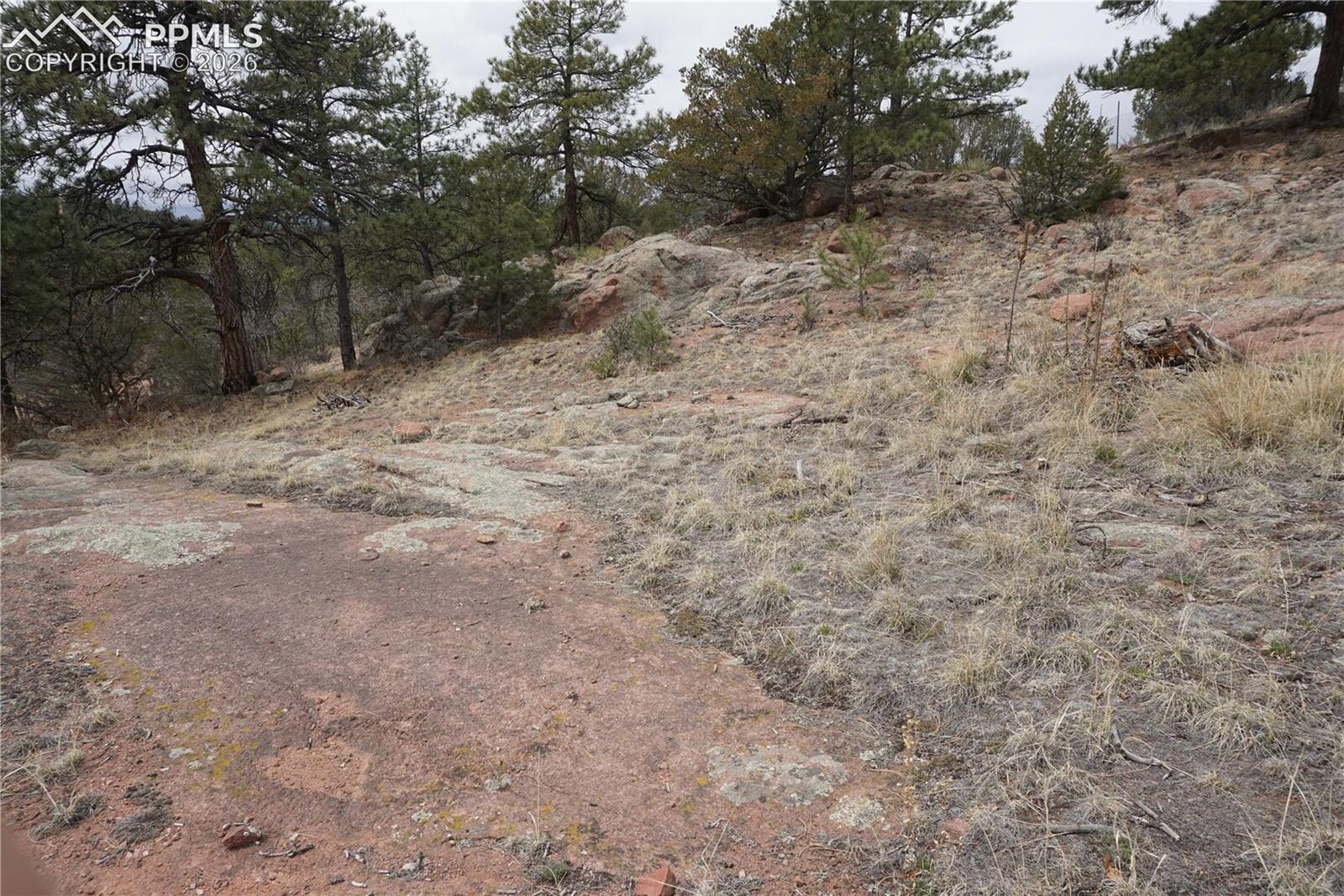 Property Photo:  1893 Arapahoe Drive  CO 80813 