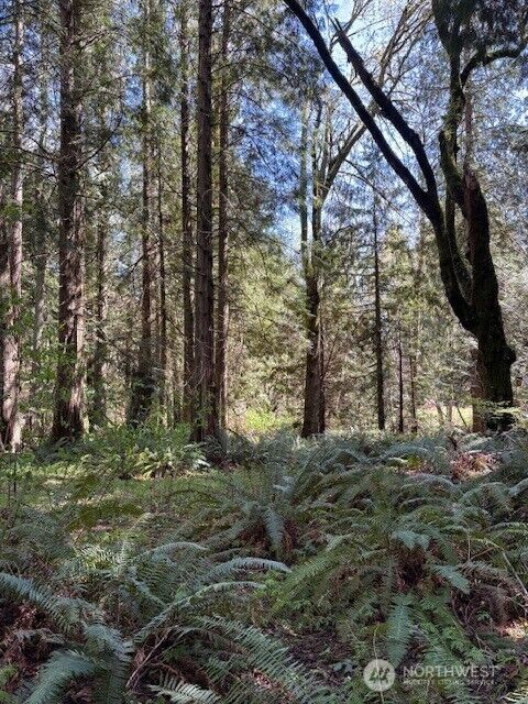 Property Photo:  0  Agate Pass Road Lot B  WA 98110 