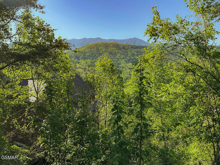 Property Photo:  Lot 11 W Pinnacle Drive  TN 37738 