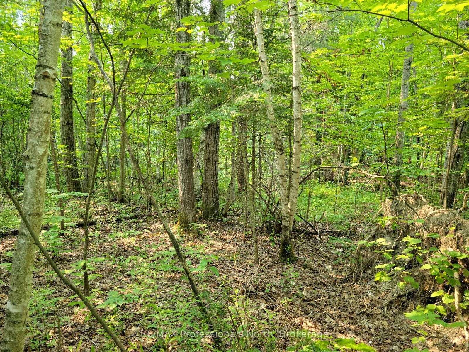 Property Photo: 29 Mount Vernon Trail 29 ON P1H 1E3