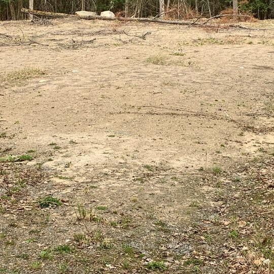 Property Photo:  5 Mountain Basin Drive  ON P2A 2W9 