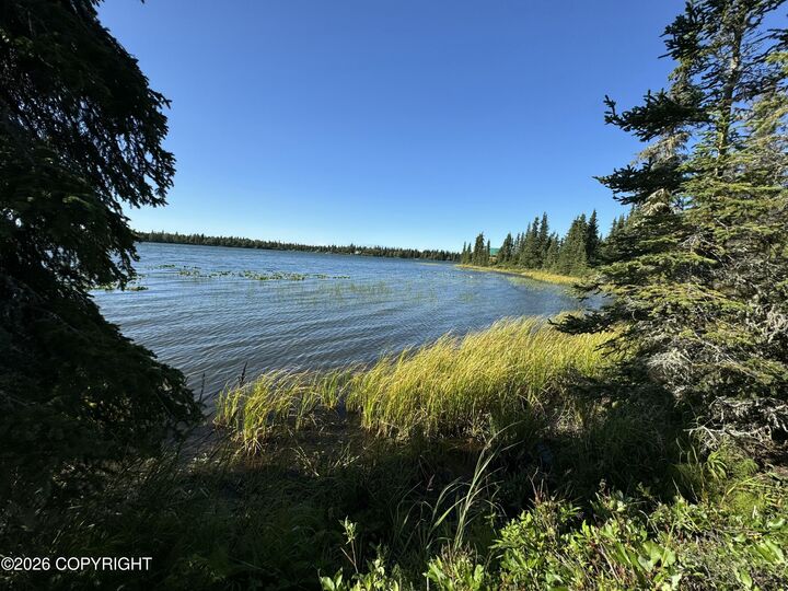 Property Photo: Tract 1 Fairway Avenue AK 99610
