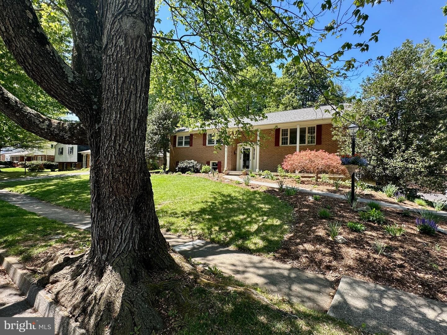 Property Photo:  315 Walker Street  VA 22601 