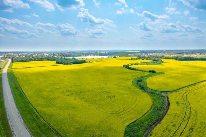 Property Photo:  5901 50 Avenue  AB T4G 1R7 