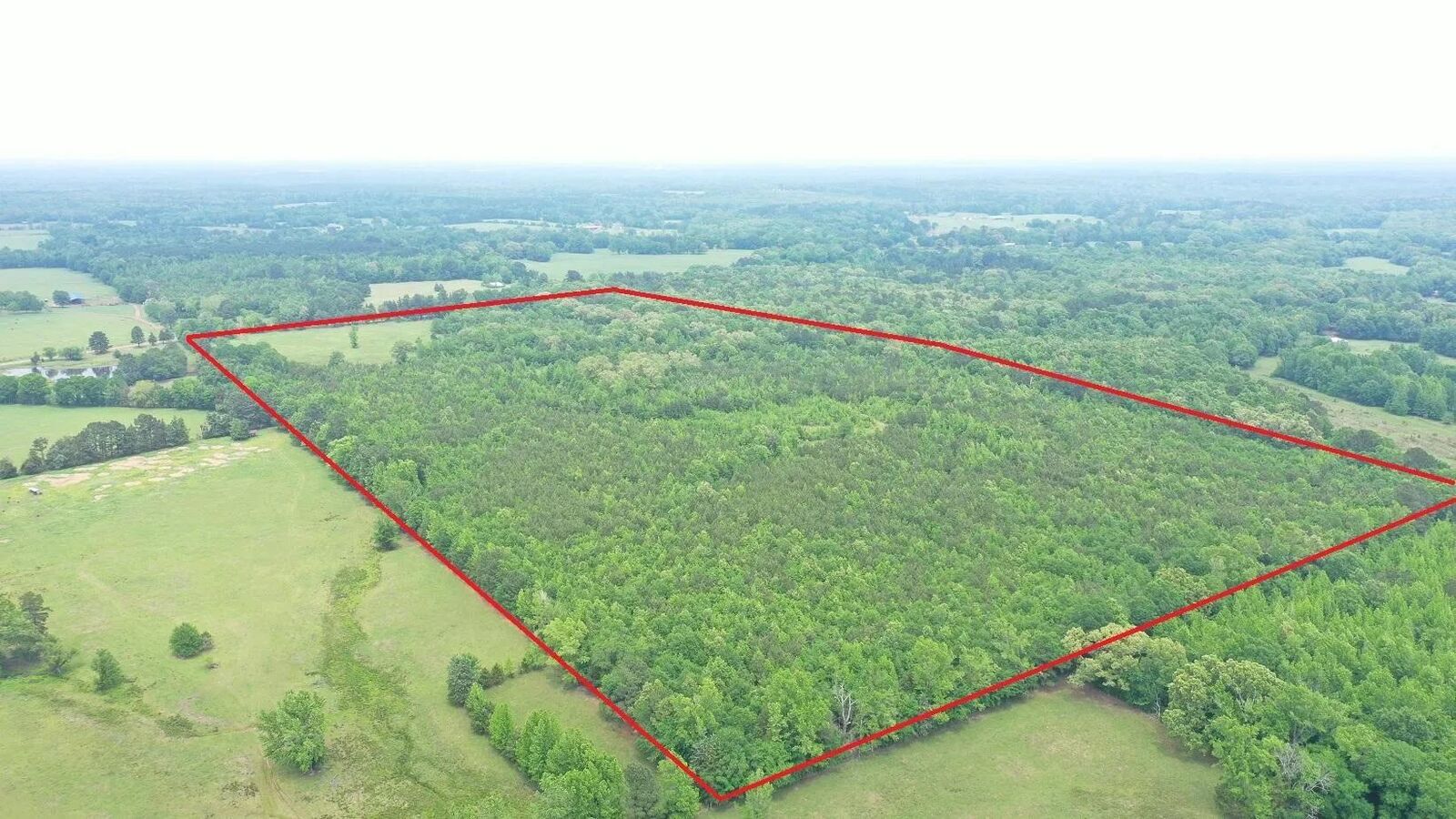 Property Photo:  0000 Fm 1766 Tract 2  TX 75568 