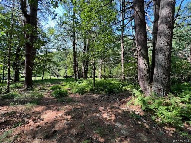 Property Photo:  Lot 47.3 High Road  NY 12737 