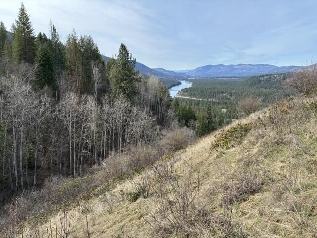 Property Photo:  Tbd N Stone Mountain Way  WA 99114 