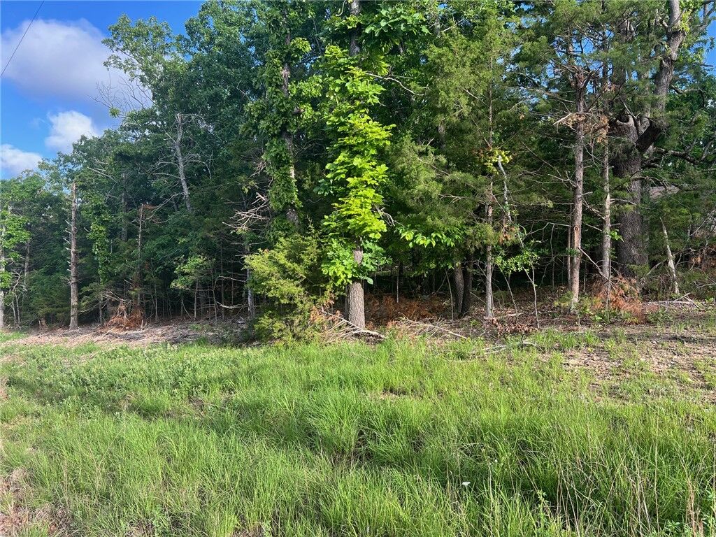 Property Photo:  Tbd Diamond Point Boulevard  AR 72630 