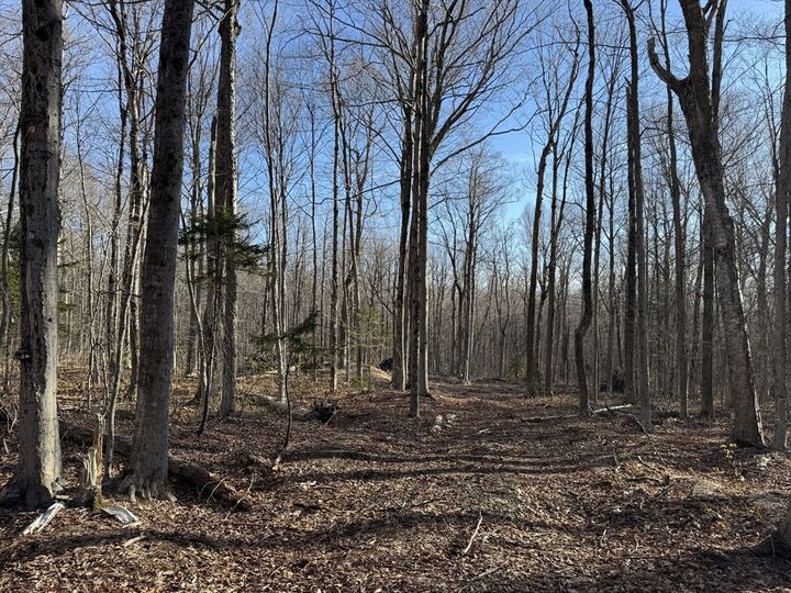 Property Photo:  0 Sadoga Road  MA 01346 
