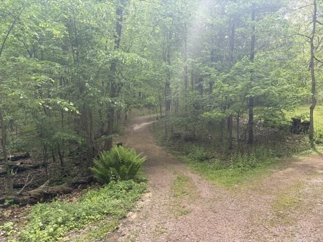 Property Photo:  Lot 13 2nd Court  WI 53952 