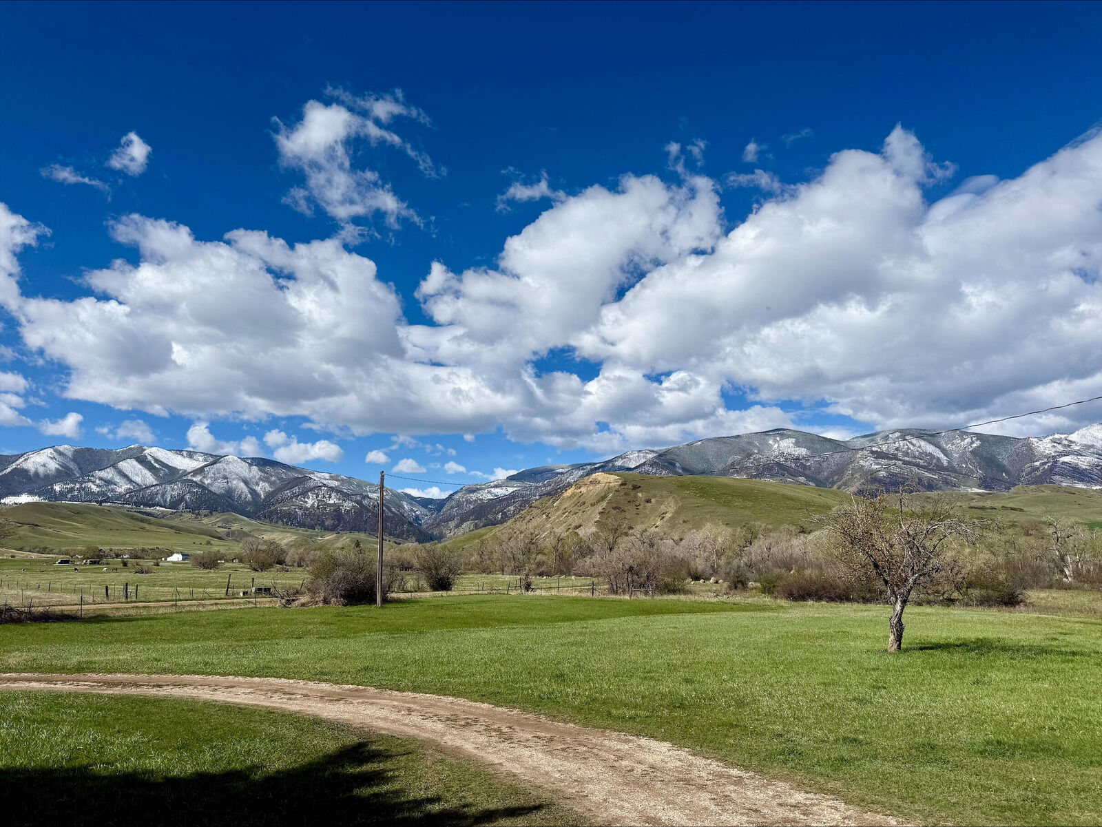 Property Photo:  1205 Big Goose Road  WY 82801 